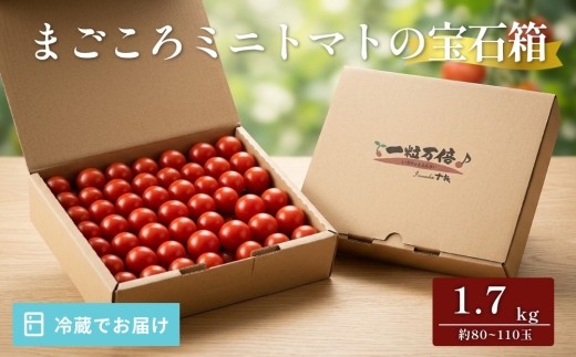 まごころ ミニトマト の宝石箱 1.7kg（約80～110玉）サンチェリーピュア