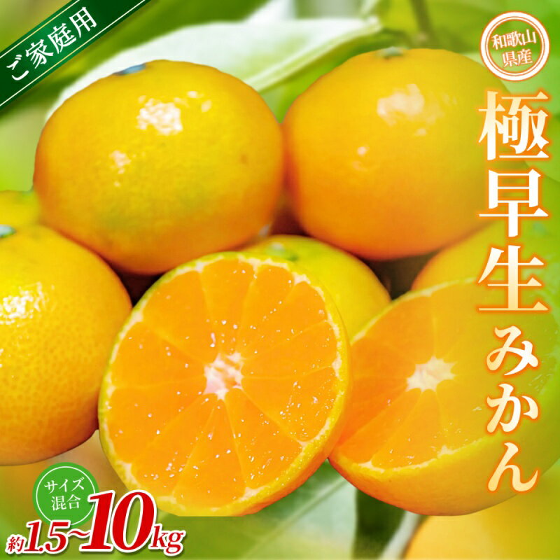 【ふるさと納税】【ご家庭用】手選別 極早生みかん 約1.5kg ~約10kg 和歌山県産 2S~2Lサイズ混合※2025年10月上旬～下旬頃に順次発送