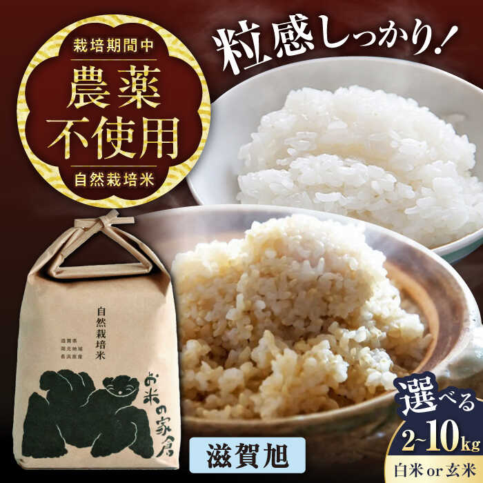 【ふるさと納税】【先行予約/令和7年産新米】 自然栽培米 滋賀旭 2kg 5kg 10kg 選べる内容量と精米方法 白米 玄米 | 米 こめ コメ お米 国産 精米 ご飯 選べる 送料無料 お取り寄せ 栽培期間中 農薬不使用 近江米 長浜市/お米の家倉[AQCP037]