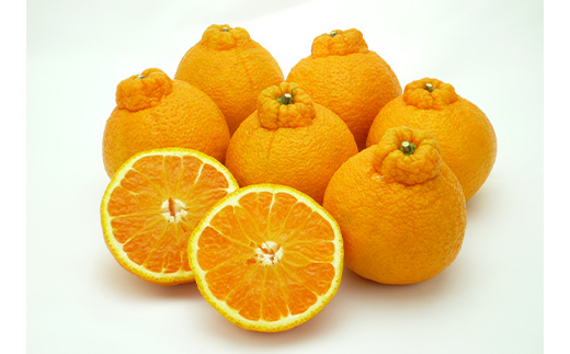 香川県産あま～いデコポン［不知火］約5kg