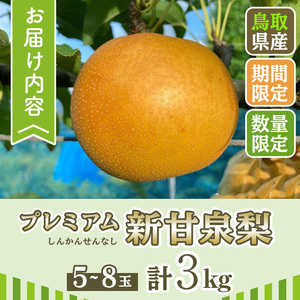 ＜先行予約受付中！8月下旬～11月上旬発送予定＞＜数量限定＞こばやし農園プレミアム新甘泉梨(計3kg・5～8玉) ふるさと納税 境港市 特産品 ジューシー 完熟 なし ナシ 果物 くだもの フルーツ 
