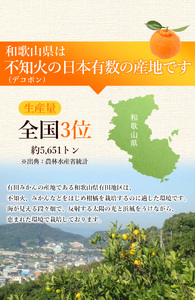 ＜先行予約＞家庭用 不知火 1.5kg+45g（傷み補償分）【デコポンと同品種・人気の春みかん】【訳あり】＜2月より発送＞ ※北海道・沖縄・離島への配送不可 フルーツ 果物 くだもの 柑橘 和歌山【i