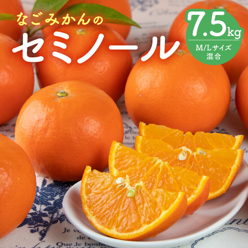 【ふるさと納税】【2027年発送先行予約品】なごみかん オレンジ セミノール 7.5kg │ 数量限定 果物 フルーツ 柑橘 みかん オレンジ セミノール 春 旬