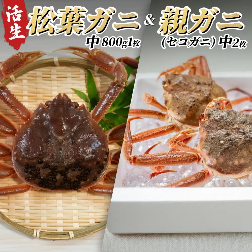 【22008-2】松葉がに＆親がにセット（生）※お届けは2026年11月中旬～