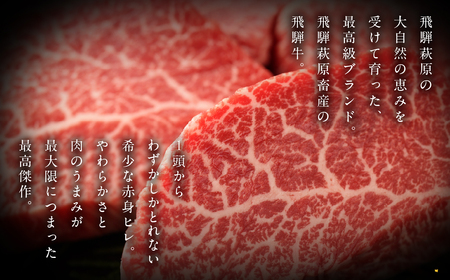 年末発送【2025年12月22日～28日発送】飛騨牛ヒレステーキ 120g×3枚　国産 牛肉 ブランド牛 赤身 ステーキ ギフト 贈答 ヒレ 牛 飛騨牛 年内発送 年内配送【冷凍】【22-18nt】