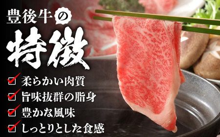 【厳選部位】おおいた豊後牛 サーロイン しゃぶしゃぶすき焼き用 600g(300g×2P)  日田市 黒毛和牛 牛肉 サーロイン 豊後牛 しゃぶしゃぶ すき焼き  [AREI017]