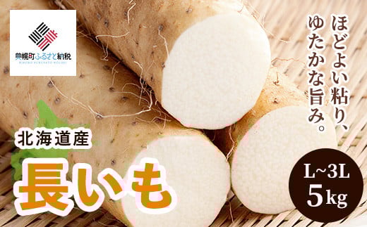 [先行受付]「数量限定」長いも・5kg【配送不可地域：離島】（2025年11月中旬より順次発送）【 ふるさと納税 人気 おすすめ ランキング いも イモ 芋 長芋 長いも ながいも 野菜 とろろ 北海道 美幌町 送料無料 】 BHRG037