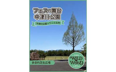 【数量限定】野外音楽フェス 「中津川 WILD WOOD 2025」 2日通し券 （大人1名、中高生1名） チケット 入場券 2日券 親子券 ライブ コンサート フェスティバル 自然 F4N-2336