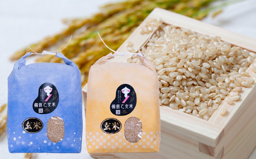 
            備前乙女米 玄米 5kg×2袋 合計10kg 米 お米 コメ 特A 岡山県 倉敷市【2025年10月下旬-2026年9月下旬発送予定】
          