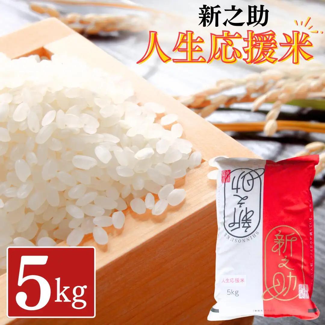 新之助 5kg 人生応援米 令和7年産 アグリ巧房 新之助