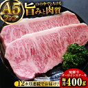 【ふるさと納税】【12回定期便】A5等級飛騨牛サーロインステーキ用400g 和牛 BBQ 霜降り 岐阜市/小川ミート[ANAJ006]