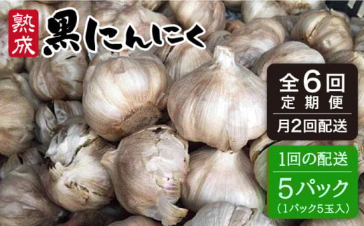 【全6回(月2回)定期便】【 頒布会 】熟成 黒 にんにく 定期 コース  5パック《糸島》【シーブ】[AHC004]