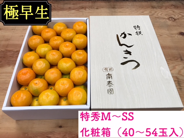 定期便 旬の有田産かんきつ味わい セット 全4回 お届け 南泰園
