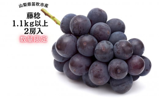 【2026年発送★先行予約】『数量限定』一大産地笛吹市御坂町の藤稔1.1ｋｇ2房入　167-005-26y