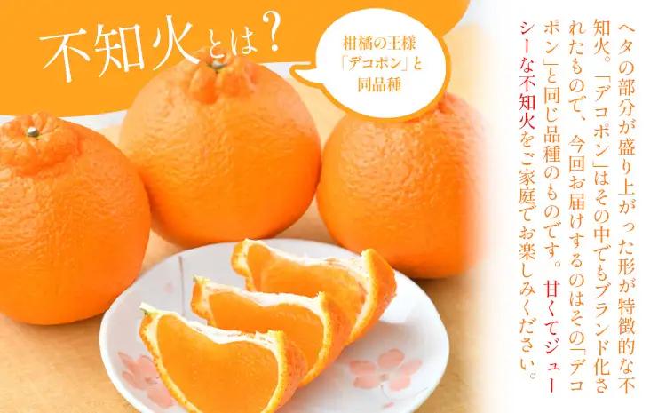 不知火   10kg  日本フルーツ株式会社 熊本県 荒尾市 《2月上旬-4月上旬頃出荷》 デコポン 果物 フルーツ スイーツ デザート ギフト ご贈答 しらぬい