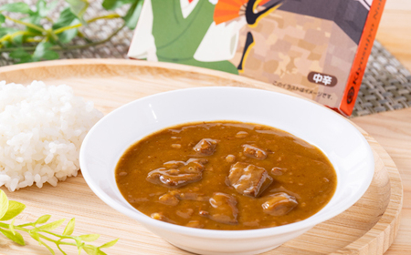 清洲城信長ビーフカレー(中辛)　12個セット_惣菜・加工品 レトルト    惣菜・加工品 カレー  _【1142687】