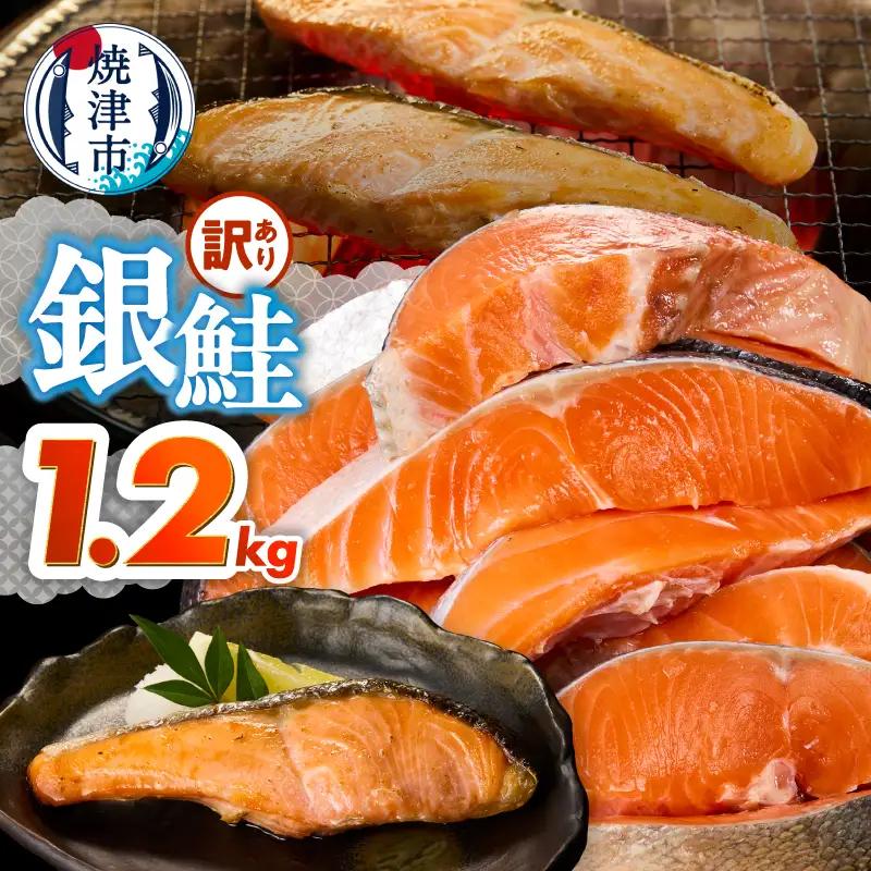 訳あり！ 銀鮭 切身 約1.2kg 便利なジッパーバック入り (a10-1309)