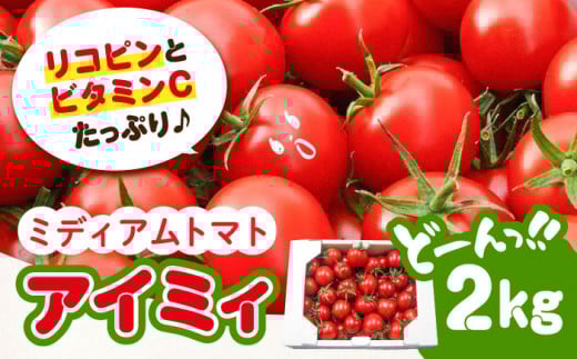 「食の安全」を守りたい！自然を活用した低農薬栽培！【11月上旬～翌年6月末まで順次発送】ミディアムトマト 2kg  とまと料理  野菜 ビタミン 健康 広島 江田島市/有限会社グリーンファーム沖美 [XAB002]