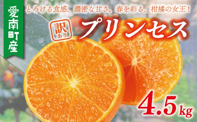 
                  【先行予約：2027年3月上旬～発送】訳あり プリンセス みかん 農家直送 愛媛限定種（とろける食感／濃厚な甘み）2.2万円 4.5kg 紅 プリンセス と 同品種 紅まどんな と 甘平 の交配種 愛果48号 有名 高級 人気 ブランド ミカン 蜜柑 柑橘 果物 フルーツ 国産 愛媛 愛南町 和家農園
                