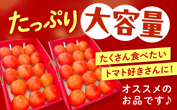 ＼受付期間1ヵ月延長！／【2025年7月中旬から10月下旬に順次発送】訳あり大玉トマト4kg / 朝採り 甘い 桃太郎 とまと / 恵那市 / クリエイティブファーマーズ [AUAH016]