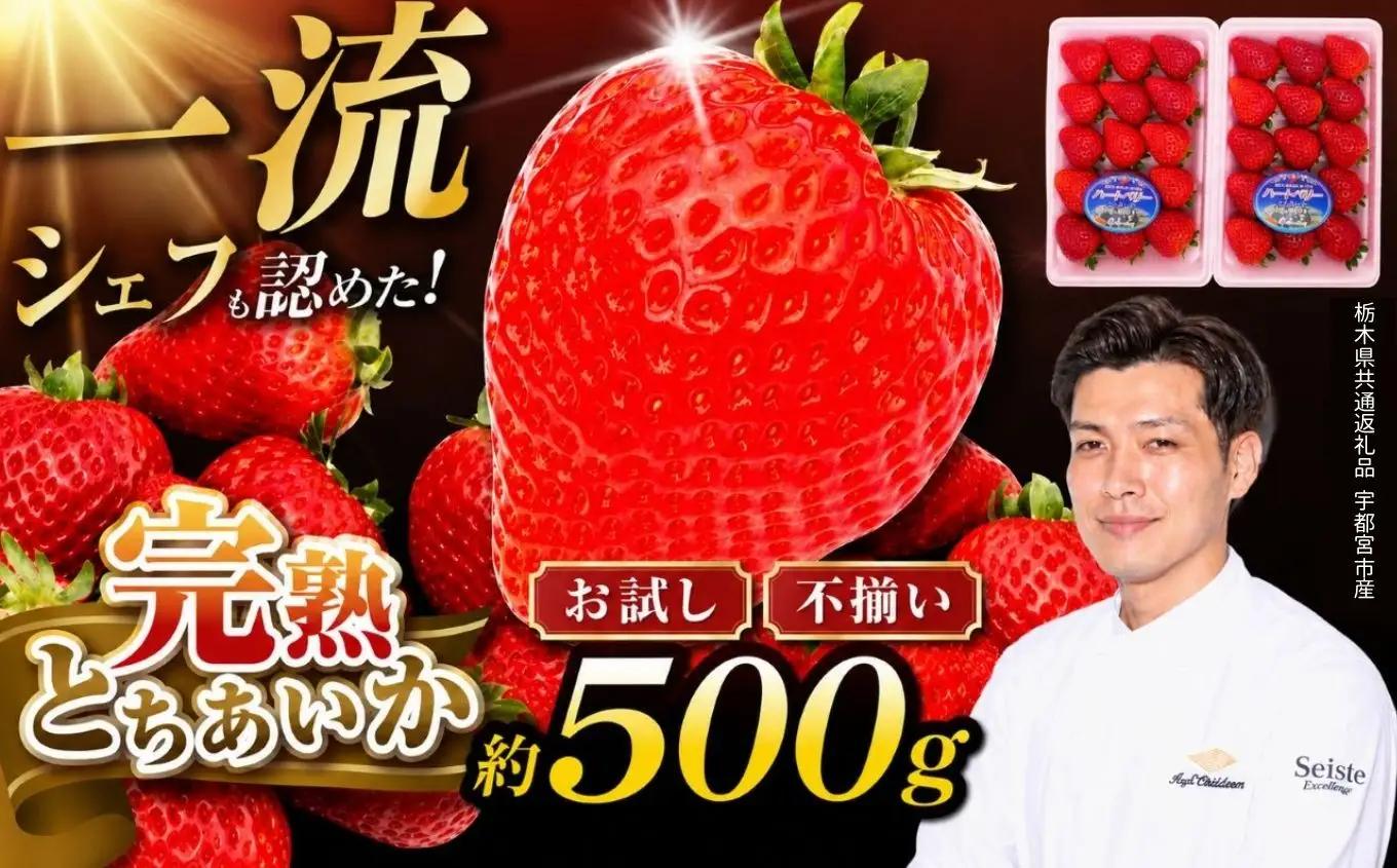 栃木県産 お試しとちあいか（サイズ不揃い） 約250g×2P 栃木県 下野市 送料無料