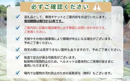 大谷石ものづくり体験 大人1名 | 栃木県 宇都宮市 大谷石 カネホン採石場 チケット 観光 旅行 ツアー ※離島への配送不可