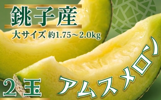 銚子産 アムスメロン！ 2玉 大サイズ  (1玉約1.75〜2.0kg未満)  弥兵衛のアムスメロン メロン とろ甘16 青肉 果物 フルーツ ギフト プレゼント 贈答 贈り物 お取り寄せ デザート スイーツ ケーキ ゼリー ジュース フルーツサンド  国産 ふるさと納税 ふるさと納税果物 ふるさと納税メロン 送料無料 千葉県 銚子市 弥兵衛 【6月下旬〜7月中旬発送】