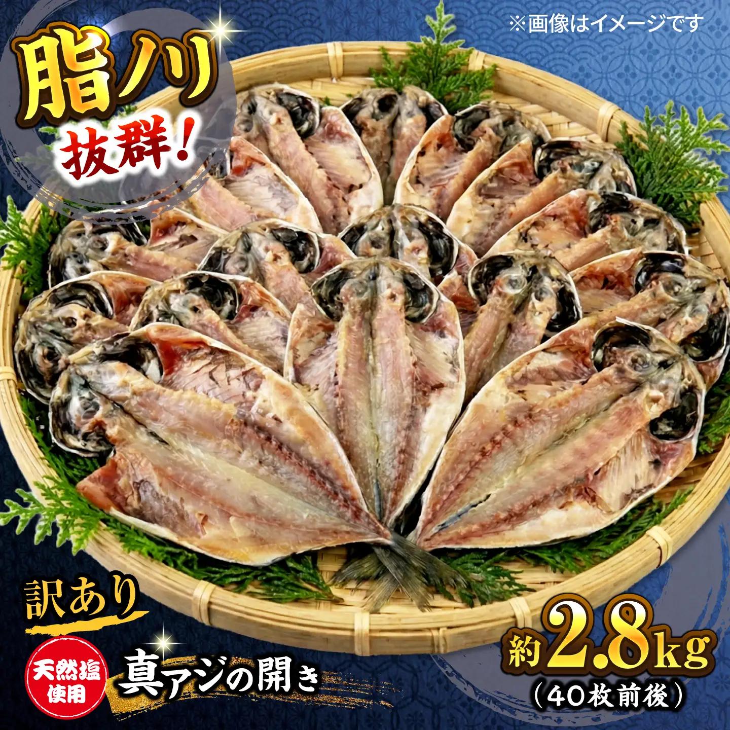 【訳あり】干物 真アジの干物 約2.8kg（40枚前後） [AKCX001]