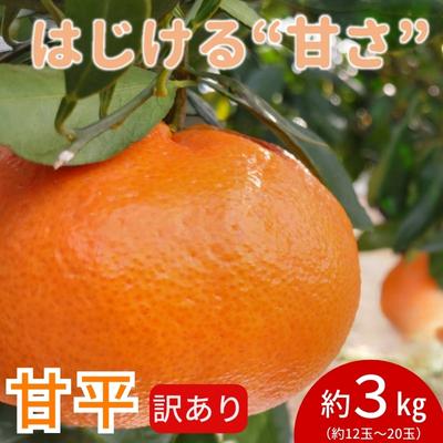 【ふるさと納税】【数量限定　先行予約】訳あり甘平サイズ不揃い約3キロ家庭用　1月上旬頃～順次発送〈産地直送　愛媛県　甘い　みかん　フルーツ〉　お届け：2026年1月上旬から2月下旬頃