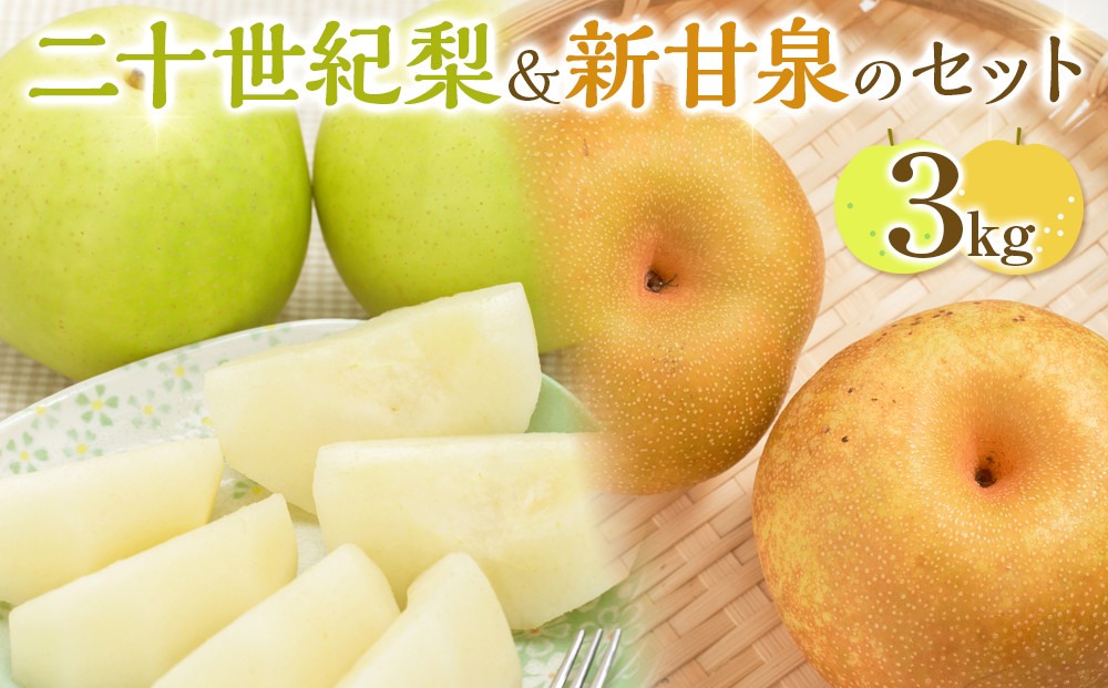 284.【先行予約】二十世紀梨と新甘泉のセット｜梨 なし 二十世紀梨 新甘泉 しんかんせん　※2025年8月下旬～9月下旬頃に順次発送予定 313726_AN060