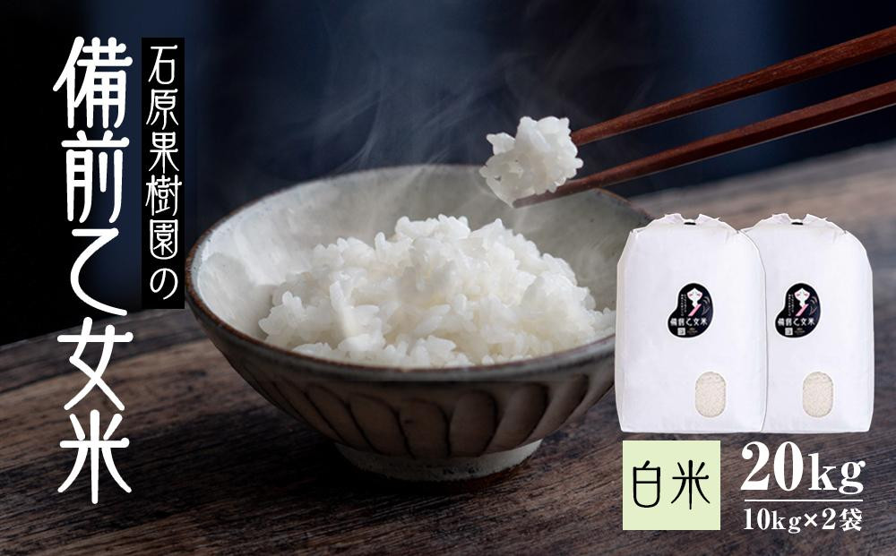 
            【先行予約】令和7年産 石原果樹園の備前乙女米 白米 20kg ( 10kg×2袋 ） お米 精米 白米 ライス 乳酸菌栽培 岡山県
          