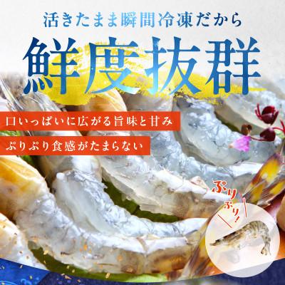 ふるさと納税 泉佐野市 【生食可】泉州車えび 300g 訳あり サイズ不揃い 先行予約 G2185 |  | 01