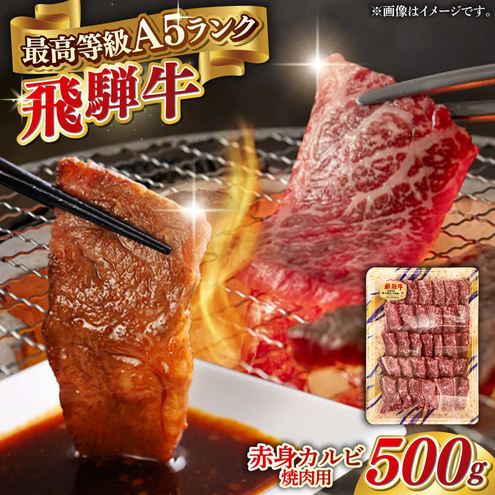 【ふるさと納税】【選べる発送月】牛肉 A5等級 飛騨牛 赤身カルビ 焼肉用 500g BBQ 焼き肉 A5ランク 牛肉 和牛 黒毛和牛 ブランド牛 焼肉 鉄板焼き 網焼き ヘルシー 旨味 ごちそう キャンプ ギフト プレゼント 人気 おいしい 美味しい 岐阜市 / 三心[ANGY007]