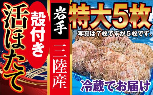 
■朝獲れ 特大【 活ホタテ 】セット ( 特大 5枚 ) 生食用 殻付き｜三陸 新鮮 大粒 活 ほたて ホタテ大粒 厳選 岩手県大槌町
