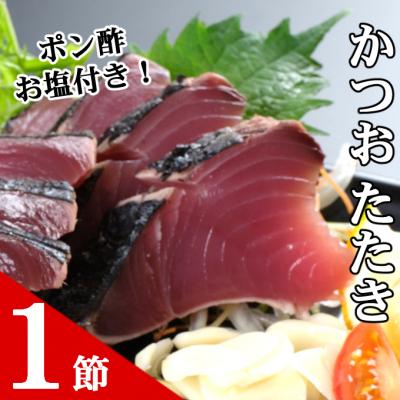ふるさと納税 室戸市 海土がお届けする定期便(4回発送)　3万円コース |  | 01