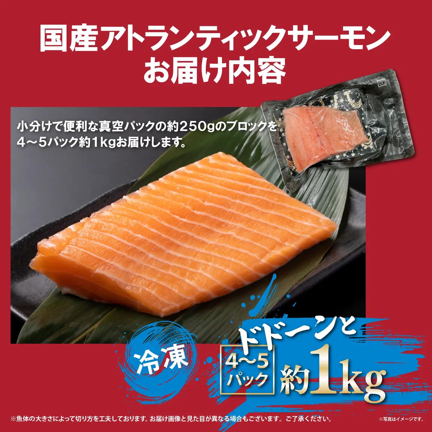 国産サーモン 冷凍 4～5P 約1kg サーモン