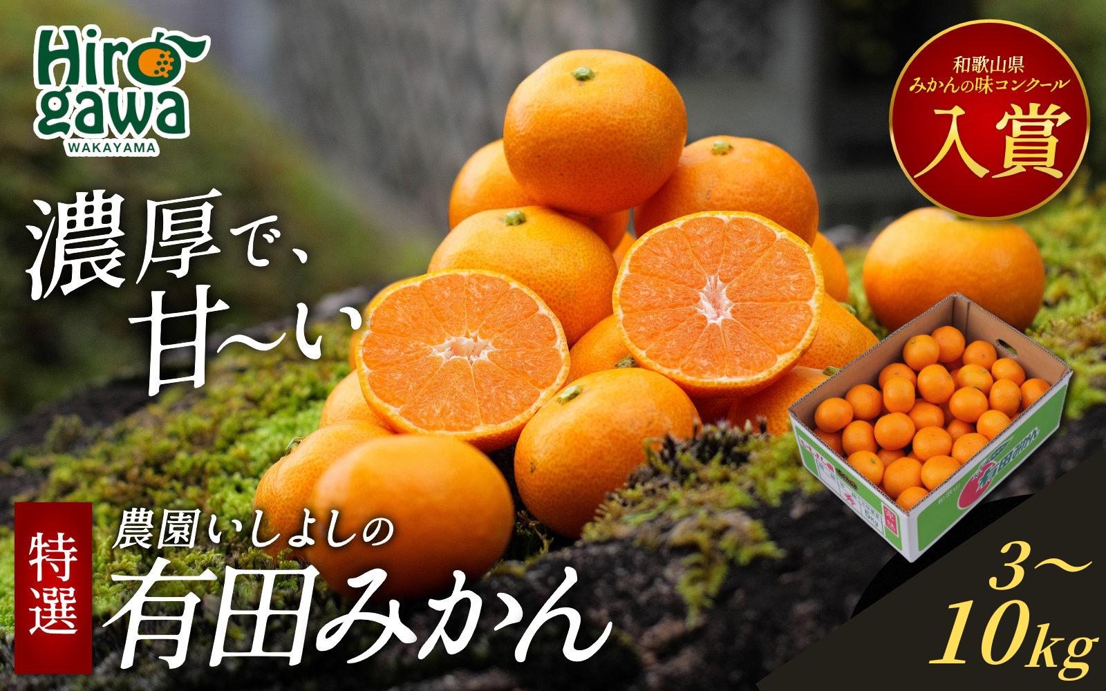 
                  【容量選べる】有田 みかん 特選 3～10kg （小玉のみも可） 【 創業120年 農家直送 】 / 温州みかん 有田みかん 甘い 高級 和歌山 柑橘 ※11月中旬～2月上旬に順次発送【isy004-r】
                