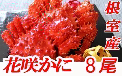 C-70005 【北海道根室産】花咲かに300～450g×8尾