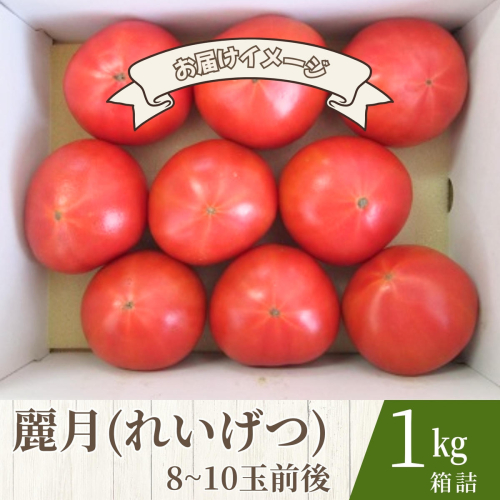 【糖度7度以上】麗月トマト 1kg｜冬期育ちの濃厚な甘み・産地直送の完熟トマト