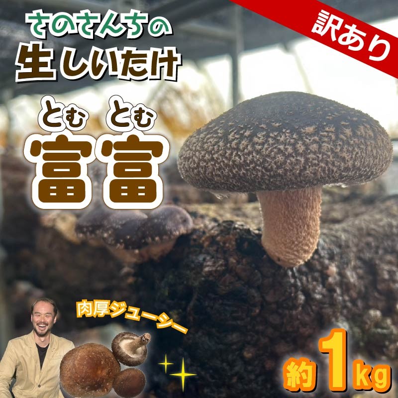 
            【先行予約：2025年11月以降順次発送】訳あり 生 しいたけ 富富（とむとむ）約1kg さのさんち 椎茸 シイタケ 肉厚 ジューシー きのこ 静岡県 藤枝市 人気 野菜 旬 安心 安全 JGAP認証農場
          