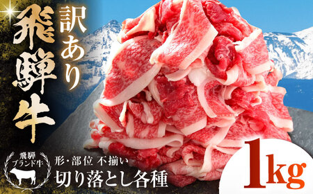 【訳あり】 飛騨牛 切落とし 1kg(500g×2パック) 多治見市 / 飛騨高山ミート MZ035 冷凍 真空パック ブランド和牛[THP026]