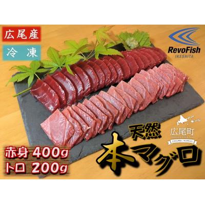 ふるさと納税 広尾町 広尾産 本まぐろの刺し身(赤身400g、トロ200g)(AM0008)