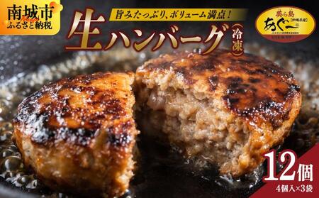 《あぐ〜豚の旨みを凝縮》ハンバーグ 120g × 12個（1440g）冷凍【美ら島あぐ～】|沖縄県 南城市 沖縄従来アグーと良質な白豚をかけあわせた 豚肉のハンバーグ 1.44kg 送料無料