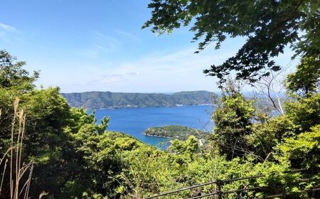 まきはた牛乳工房 チーズ 2種詰め合わせセット (カチョカヴァロ100g×2個 ストリングチーズ100g×2個) 【乳製品 チーズ 海士町】