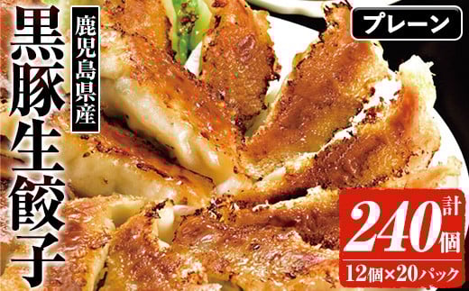 ＜焼くだけ＞鹿児島黒豚生餃子 合計 240個！（12個×20P） 国産 鹿児島県産 黒豚 餃子 ぎょうざ ギョーザ ギョウザ 冷凍餃子 冷凍 冷凍食品 惣菜 弁当 おかず 小分け 詰め合わせ 大容量【A-1857H】