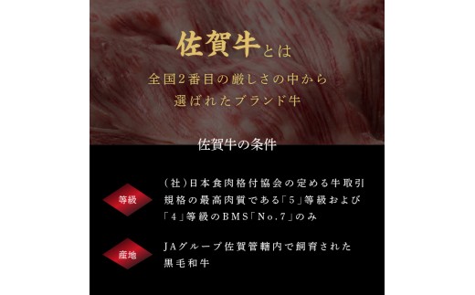 上場亭 佐賀牛ヒレステーキ 約400g（2枚）／ 牛肉 肉 お肉 佐賀牛 赤身 ステーキ ヒレ 希少部位 焼き肉 焼肉 バーベキュー BBQ A5 A4 a5 a4 黒毛和牛 佐賀県産和牛 ブランド牛