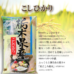 【栃木県共通返礼品】【令和7年度新米先行予約】栃木県産コシヒカリ 15kg |定期便 選べる 10月発送 11月発送 12月発送 ふるさと 納税 コシヒカリ お米 精米 白米 玄米 大粒 共通返礼品 