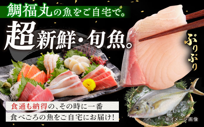 【全4回定期便】【五島列島直送】朝獲れ鮮魚セット2kg 五島市/鯛福丸水産[PDP013]   魚 鮮魚 セット 海鮮 直送 さかな 詰合せ 冷蔵