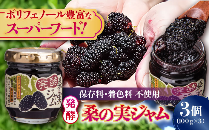 
            発酵桑の実 ジャム 3個セット（100g×3） 【株式会社 峯樹木園】 [AYBM012]
          