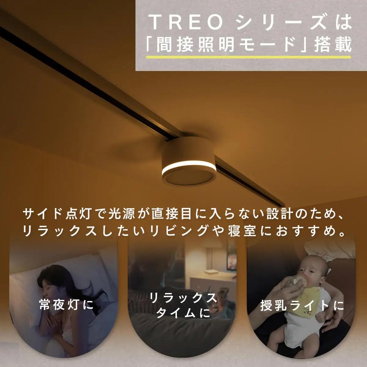 エジソンスマート TREO ミニシーリングライト アーム付き(ダクトレール用) 福岡市 ブラック